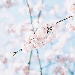 Meet your Posher, Riley